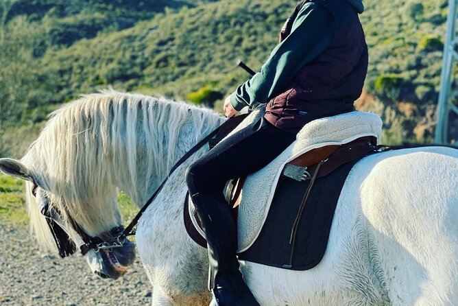Malaga - guided horseback riding - Booking, weather, and cancellation details
