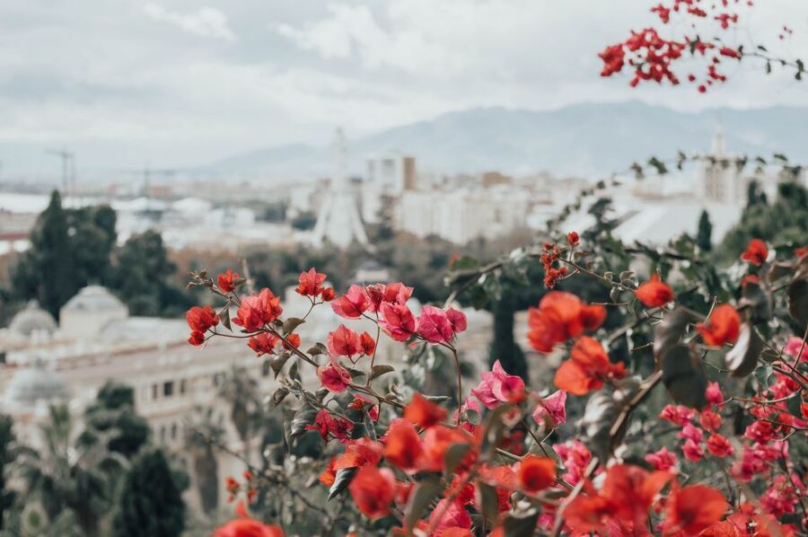 Málaga: Highlights, Old Town & Viewpoint Walking Tour - Who will get the most from this walk?