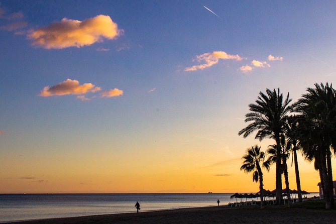 Malaga Highlights, Old Town & Viewpoints Walking Tour - Málaga Cathedral and the city’s nickname for it
