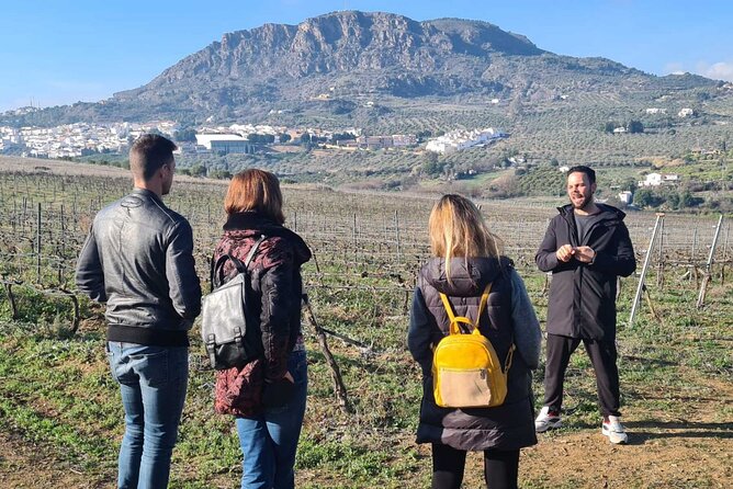 Malaga Organic Vineyard and Winery Six Wines Tapas and Transfer - Six wines and food that actually matches them