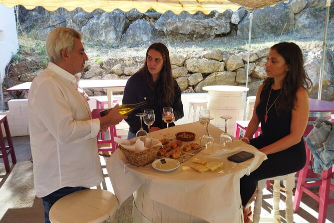 Malaga Organic Vineyard and Winery Six Wines Tapas and Transfer - Timing, meeting point, and cancellation details