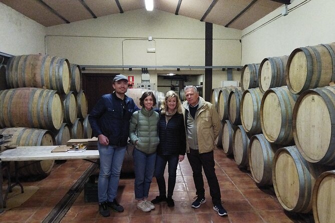 Malaga Organic Vineyard and Winery Six Wines Tapas and Transfer - Walking through Viñedo Malvajio at 400 metres