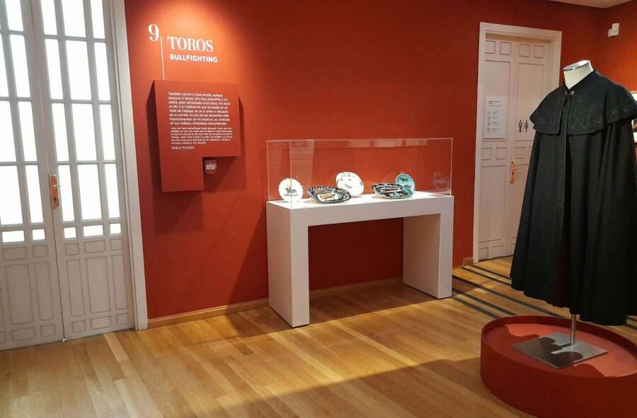 Málaga: Picasso Birthplace Museum Ticket & City Audio Guide - Why the $11 price can make sense