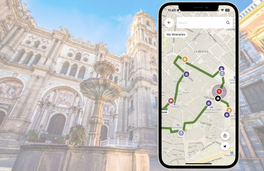 Málaga: Picasso Birthplace Museum Ticket & City Audio Guide - Who will enjoy this most