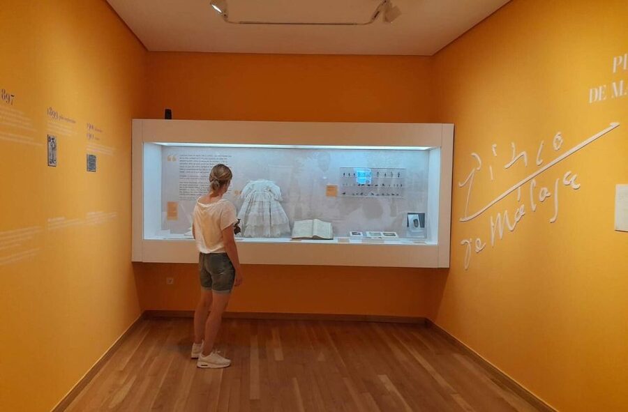 Málaga: Picasso Birthplace Museum Ticket & City Audio Guide - The limits of a self-guided visit