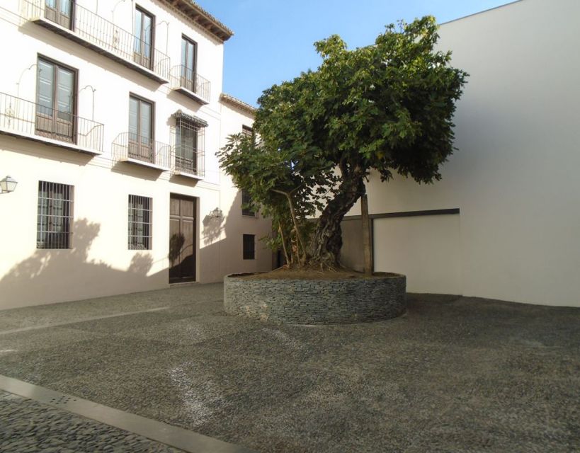 Malaga: Picasso Museum Guided Tour with Skip-the-Line Ticket - What makes the guide-led format worthwhile
