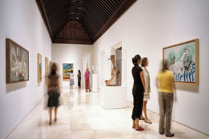 Malaga: Picasso Museum Small Group Art Expert Guide - Key points to know before booking