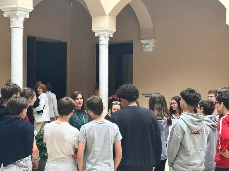 Malaga: Picasso Museum Tour Expert Art Guide, entrance fee included - Key points to know before booking