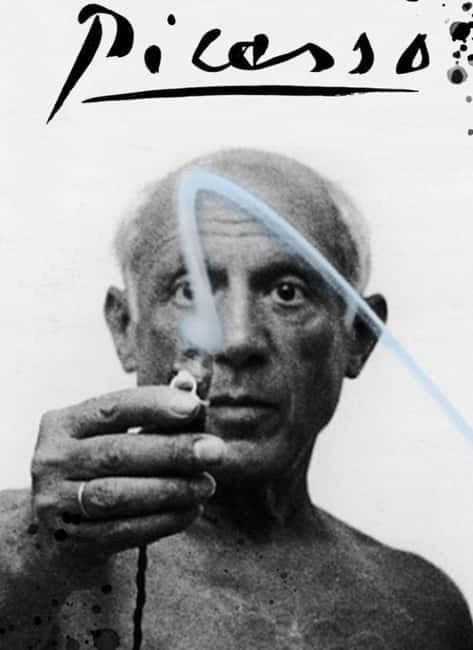 Malaga: Picasso Museum Tour Expert Art Guide, entrance fee included - Should you book the Picasso Museum Malaga tour?