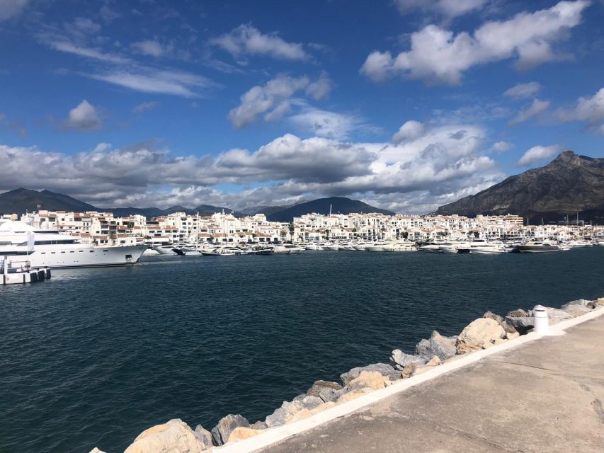 Malaga: Premium Guided Bike Tour - The luxury harbor and Malaga’s newer face
