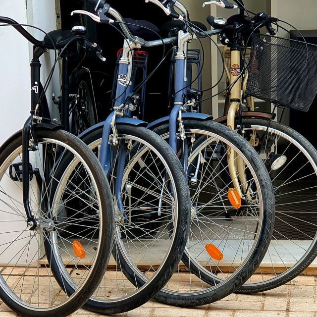 Malaga: Private Bike Rental - Pedregalejo and a taste of local Malaga