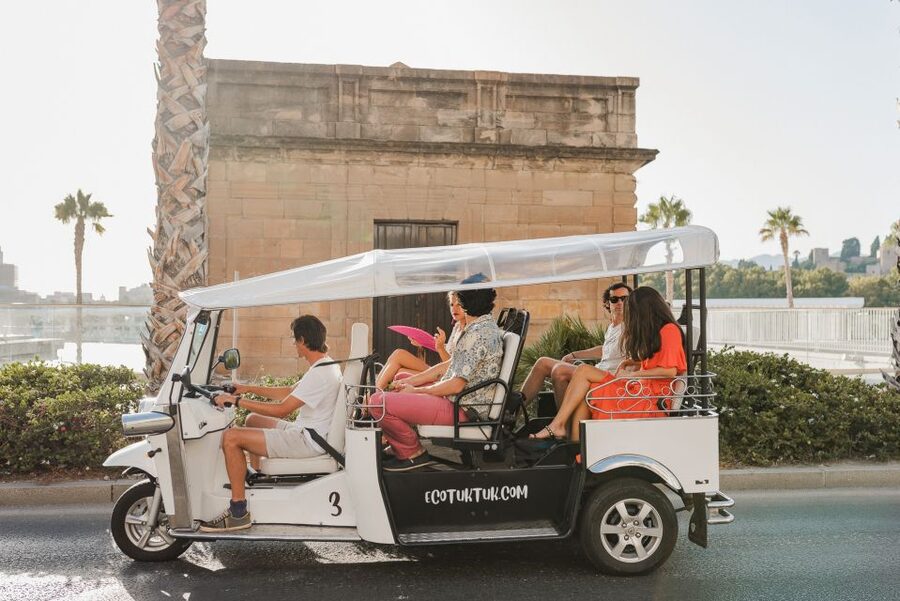 Malaga: Private City Tour by Eco Tuk Tuk - Malaga City Hall and the historic center