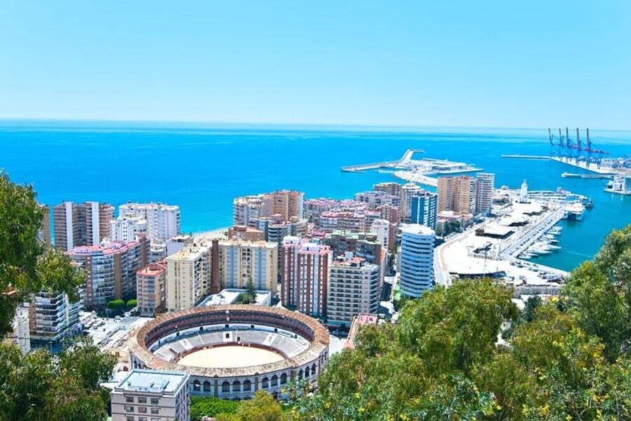 Malaga: Private custom Walking tour with a local guide - A private start in Málaga