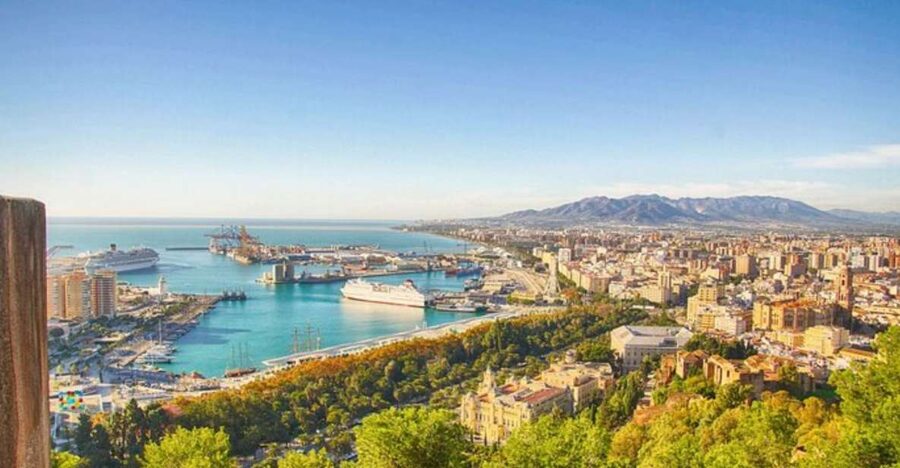 Malaga: Private custom Walking tour with a local guide - Choosing two hours or a full eight