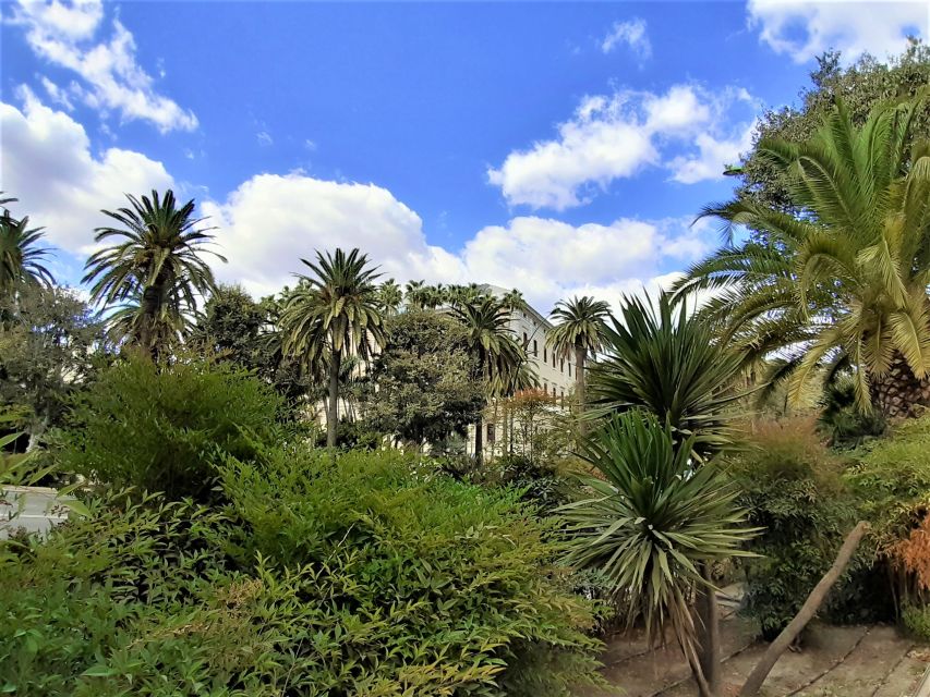 Malaga: Private walking tour - Malaga Cathedral and its changing architectural style