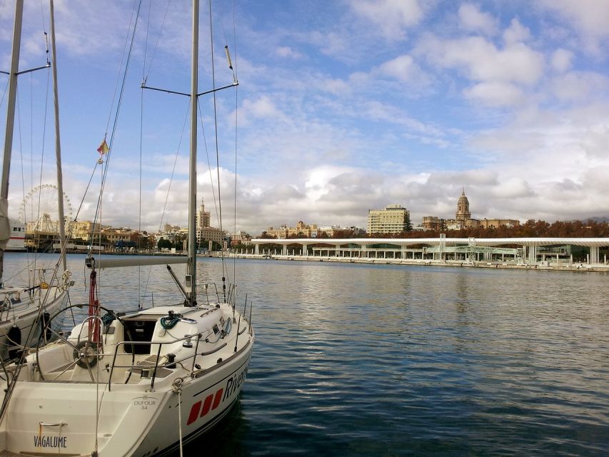Malaga: Private Walking Tour with Official Guide - What the guide adds to the experience