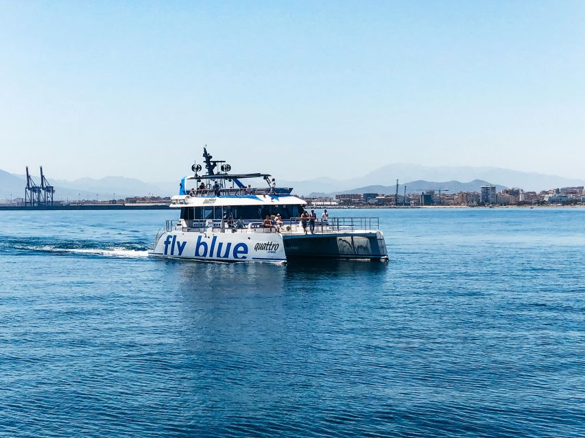 Málaga: Scenic Catamaran Cruise - The onboard bar and atmosphere