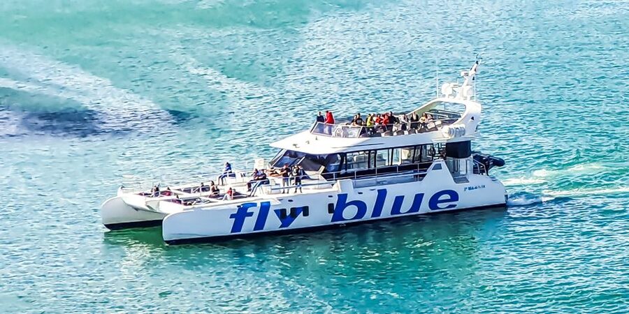 Málaga: Scenic Catamaran Cruise - How much value do you get for $15?