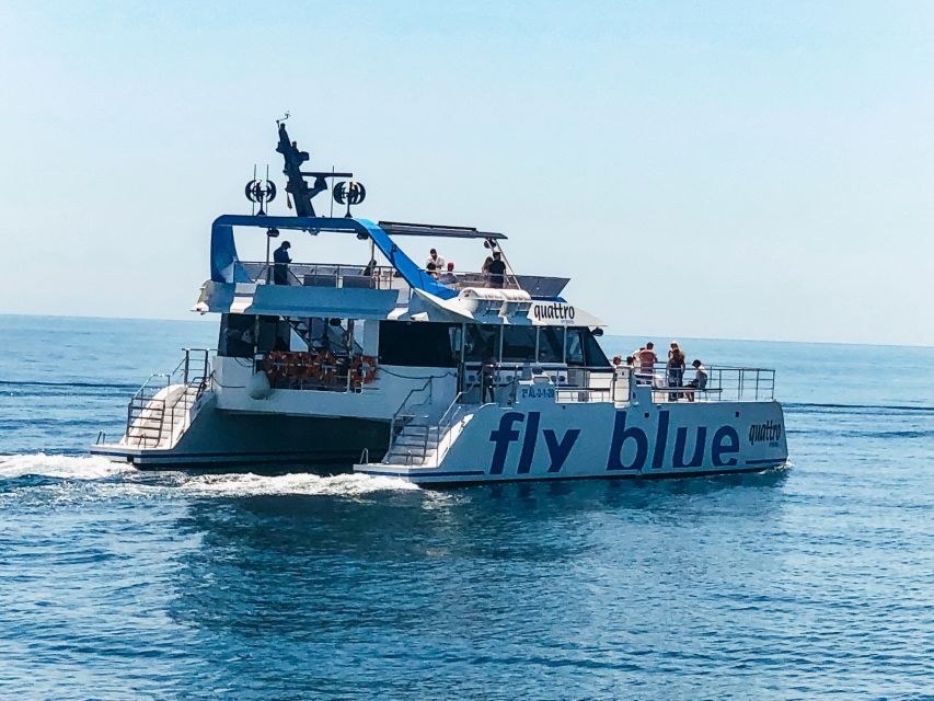 Málaga: Scenic Catamaran Cruise - Who will enjoy this catamaran most?