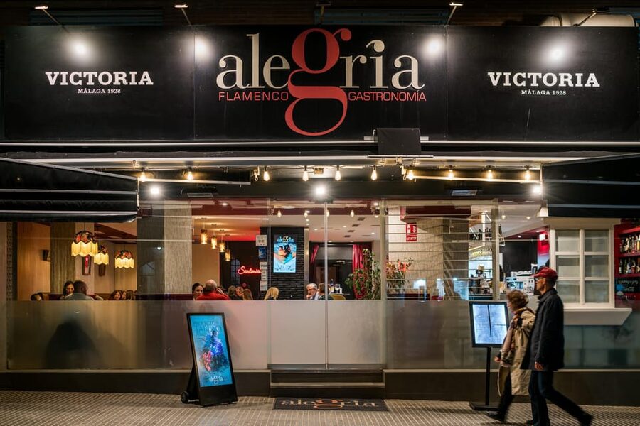Malaga: Show and Food at Alegría Flamenco and Restaurant - Inside the one-hour flamenco show