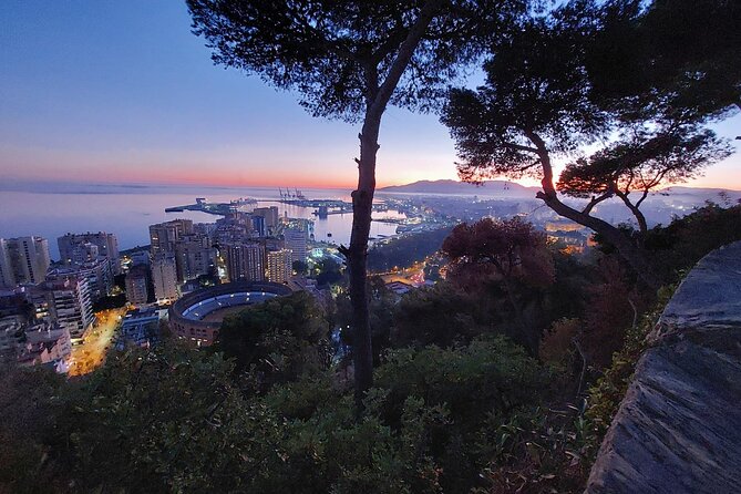Málaga Sunset & Night Tour by Electric Car - What the guide adds to a self-drive format