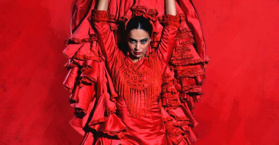 Malaga: Teatro Flamenco Malaga Live Flamenco Show - Key points to know before booking