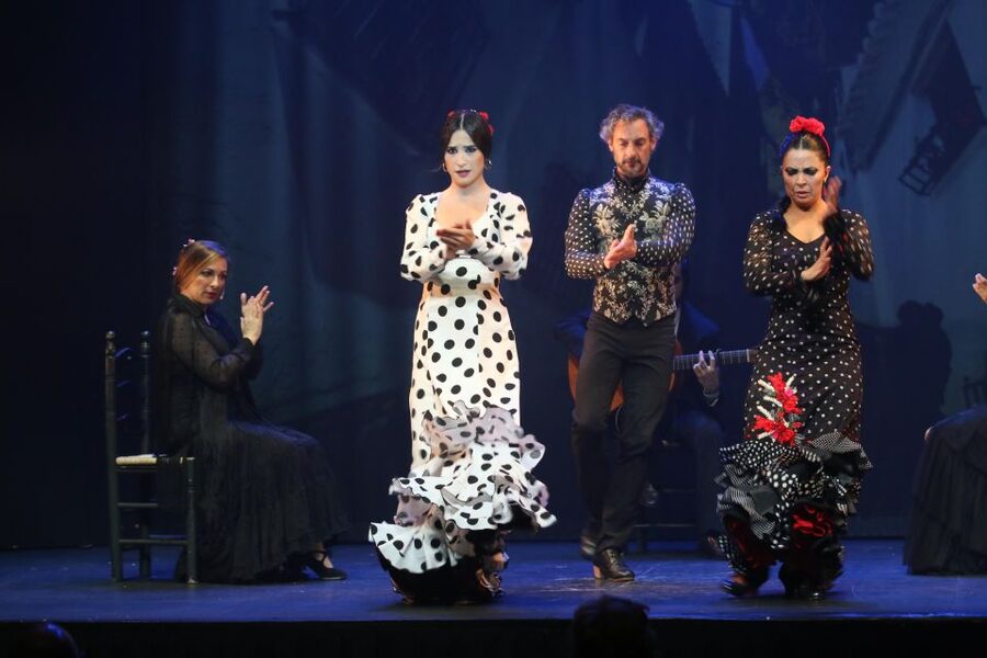 Malaga: Teatro Flamenco Malaga Live Flamenco Show - Is $34 good value?