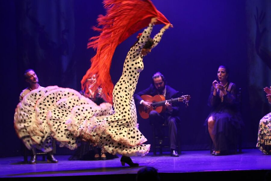 Malaga: Teatro Flamenco Malaga Live Flamenco Show - Entering Theatro Club Málaga