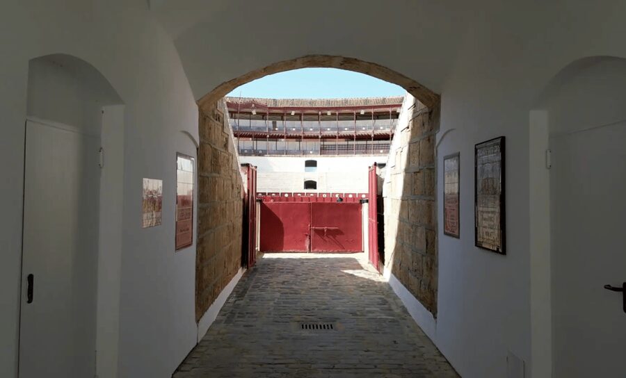Malaga: Tour of Malagueta Bullring & Immersive Exhibition - Key points to know before you go
