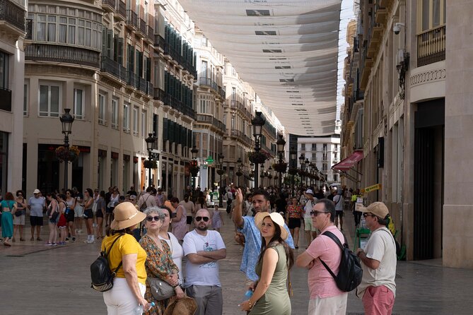 Malaga Walking Tour, Roman Theatre and Alcazaba with Tickets Included - Why this compact Malaga walk works