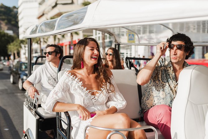Malaga Welcome Tour with Local Guide in Eco Tuk Tuk Private - La Farola and La Malagueta Beach