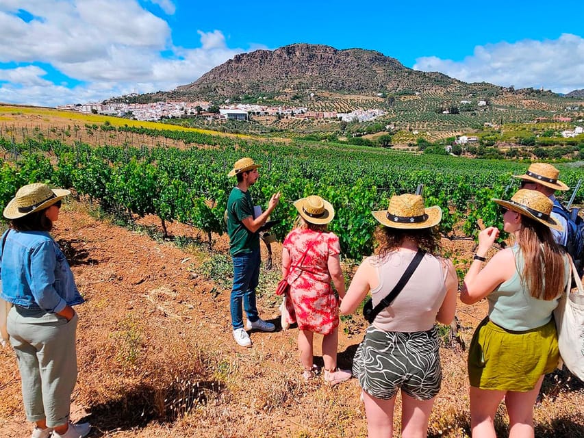 Malaga: White Village, Vineyard, and Wine Tasting Wine Tour - The short countryside stop and its photo views