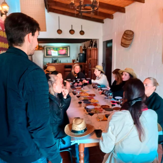 Malaga: White Village, Vineyard, and Wine Tasting Wine Tour - Walking among vines and learning how wine is made