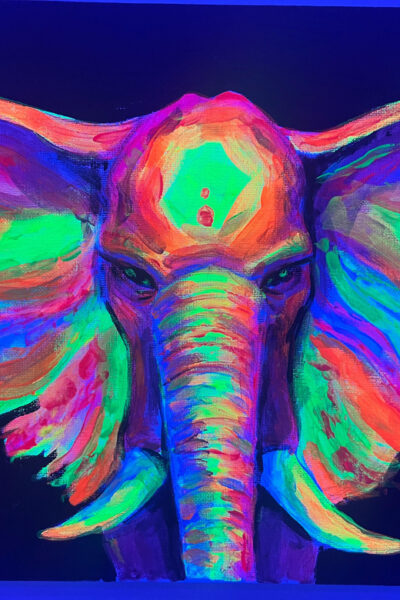 Wine Gogh Glow Academy Paint and Sip Class