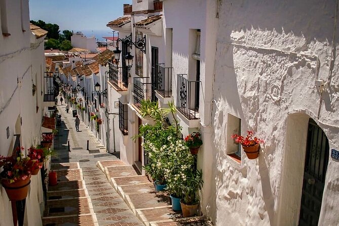 Marbella and Mijas Day Tour and Puerto Banus and Benalmadena - The guide, vehicle, and group size affect the experience