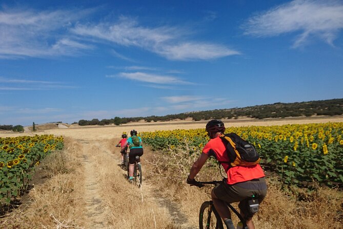 MTB (Self-Guided) Setenil de las Bodegas - 30km Easy - The minibus return to Ronda