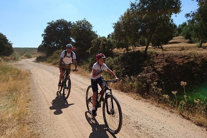 MTB (Self-Guided) Setenil de las Bodegas - 30km Easy - Quiet tracks, olive groves, and easy downhill riding