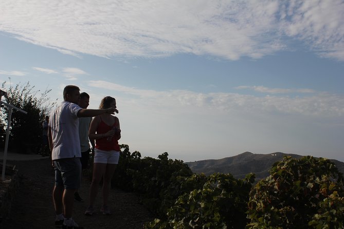 Muscat Raisin Route - Small group with lunch included - Walking Almáchar and entering the Raisin Museum