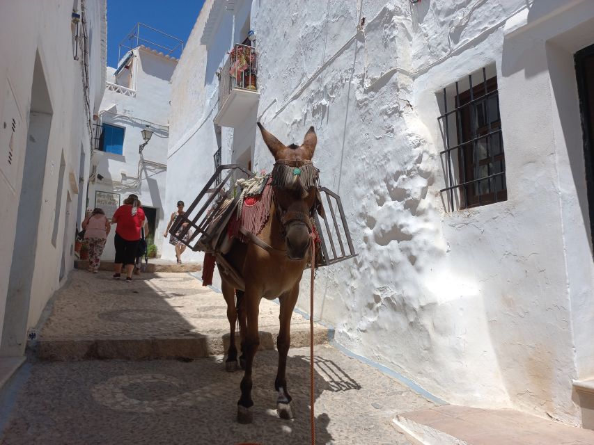 Nerja, Frigiliana & El Acebuchal: Full-Day Semi-Private Tour - Should you book the Nerja, Frigiliana, and El Acebuchal tour?