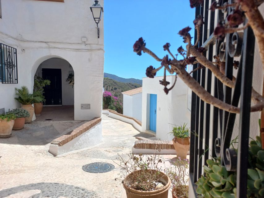 Nerja, Frigiliana & El Acebuchal: Full-Day Semi-Private Tour - Is $106 a fair price?