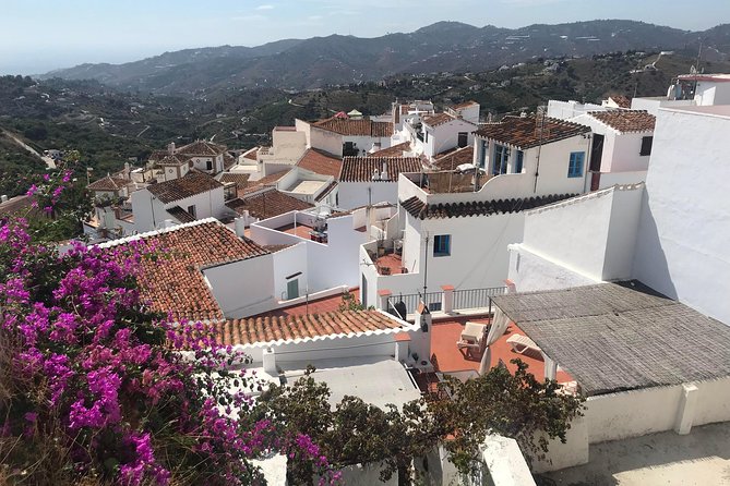 Nerja & Frigiliana Private Day Trip from Malaga or Marbella - What the private format really adds