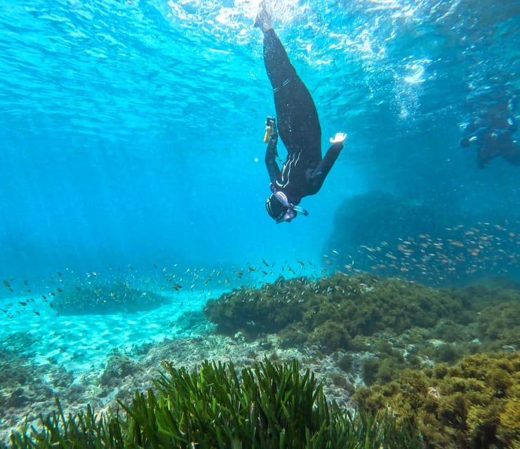 Nerja-Maro: Snorkeling & Sea Scooter Speedboat Trip - Key points to know before you book