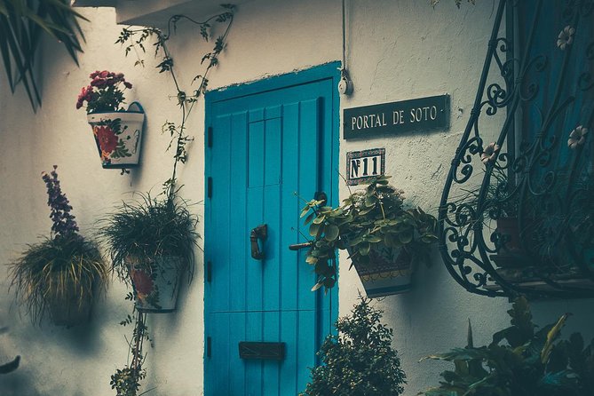 Nerja (Pueblo) + Frigiliana & El Acebuchal - Semi-Private - Small Group Comfort and Walking Demands