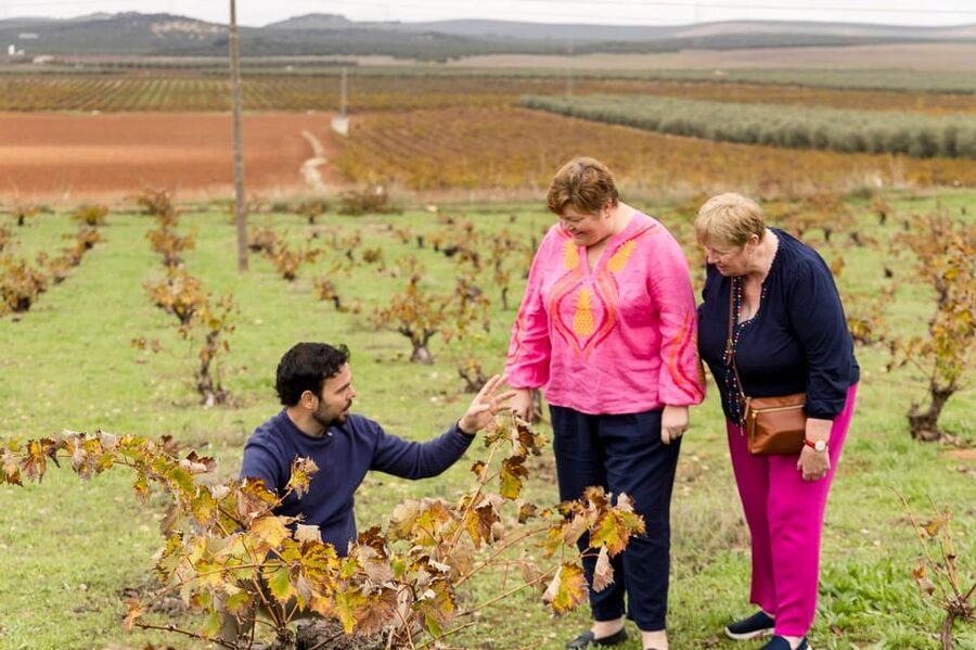OLIVE OIL & WINE TOUR Organic fields - 5 Wines + 3Olive Oils - Walking through organic fields with old trees