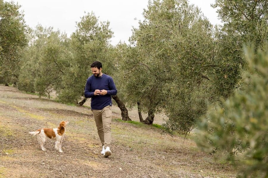 OLIVE OIL & WINE TOUR Organic fields - 5 Wines + 3Olive Oils - Five wines, three olive oils, and a generous table of food
