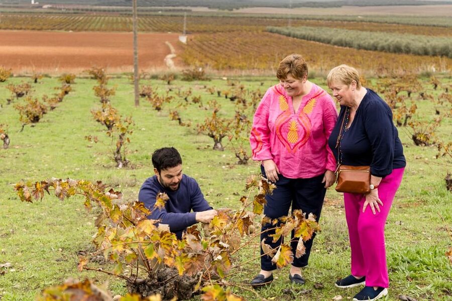 OLIVE OIL & WINE TOUR Organic fields - 5 Wines + 3Olive Oils - What makes the experience feel local