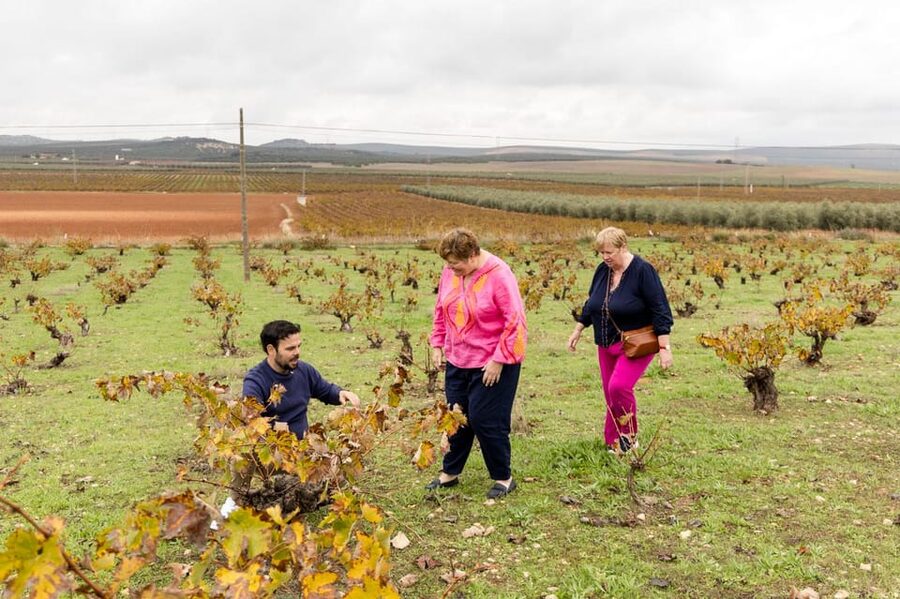 OLIVE OIL & WINE TOUR Organic fields - 5 Wines + 3Olive Oils - The transport and timing you should plan around