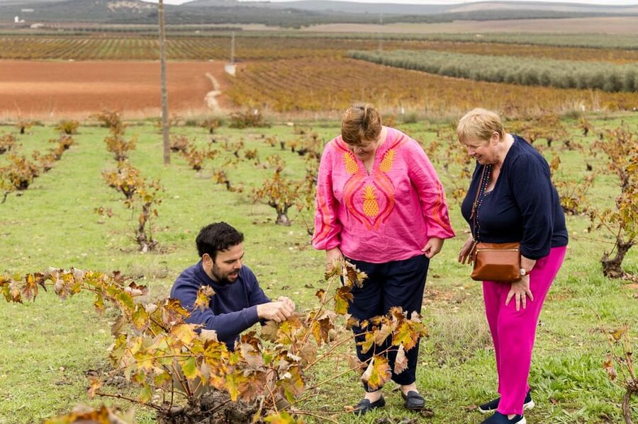 OLIVE OIL & WINE TOUR Organic fields - 5 Wines + 3Olive Oils - Who will get the most from this tour