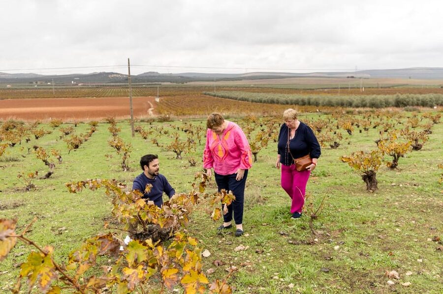 OLIVE OIL & WINE TOUR Organic fields - 5 Wines + 3Olive Oils - Practical details before you reserve