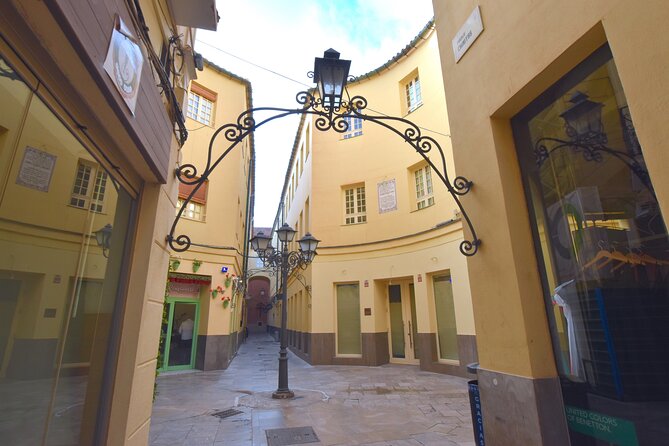 Picasso roots Private Walking Tour in Central Malaga - Why Málaga has a Picasso Museum